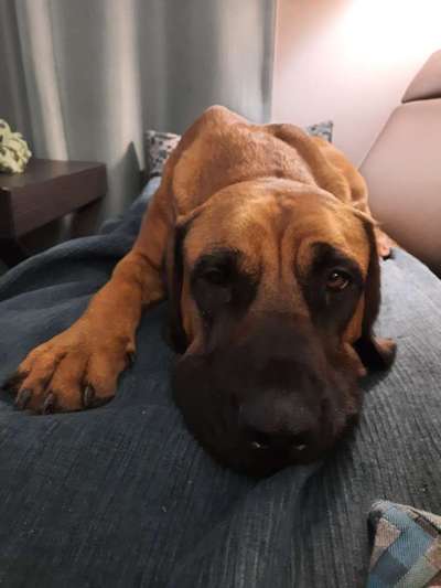 Fotochallenge Nr. 67: Euer Lieblingsbild-Beitrag-Bild