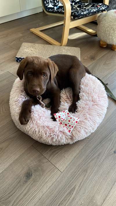 Fotochallange Nummer 5-Beitrag-Bild