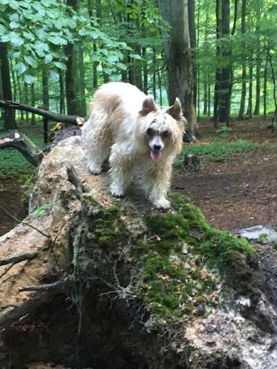 Fotochallenge Nr. 56 - geliebte Senioren-Beitrag-Bild