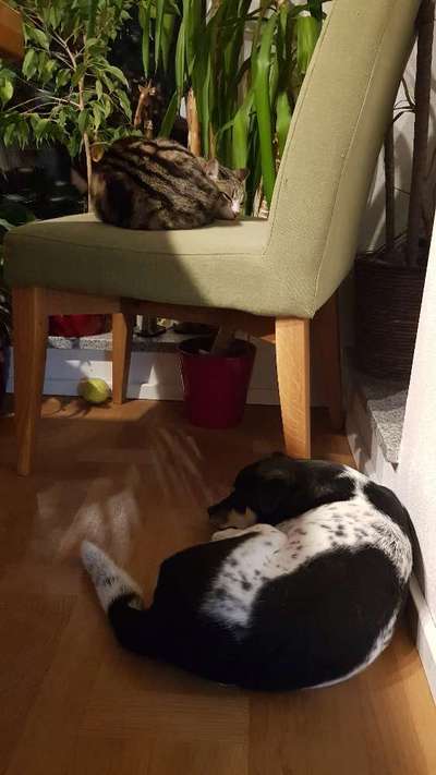 Die unbequemsten und lustigsten Schlafpositionen-Beitrag-Bild