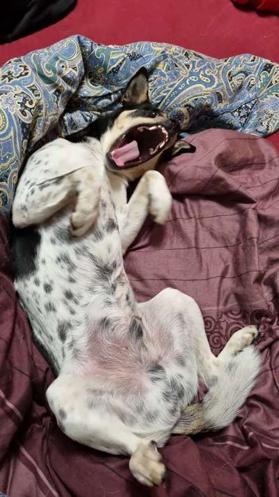 Die unbequemsten und lustigsten Schlafpositionen-Beitrag-Bild