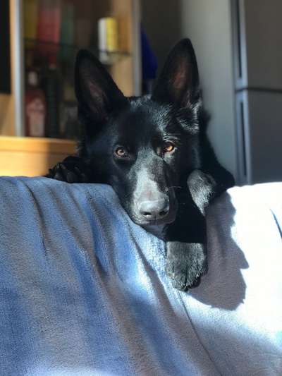 Fotochallange Nr. 57     PORTRÄT.   Beendet!!!!!!!!-Beitrag-Bild