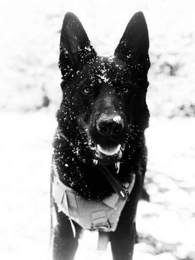 Foto-Challenge 76: Foto in Schwarz-Weiss-Beitrag-Bild