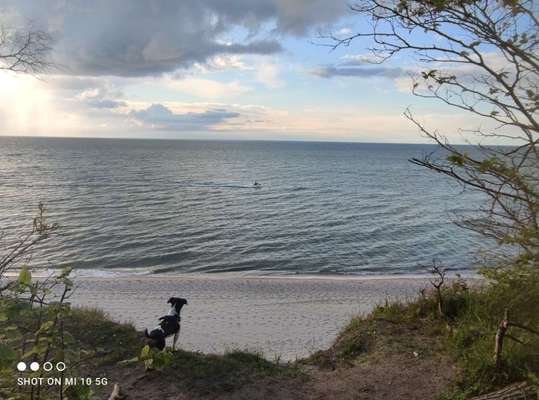 Dogorama Photo Challenge - Tierischer Urlaub-Beitrag-Bild