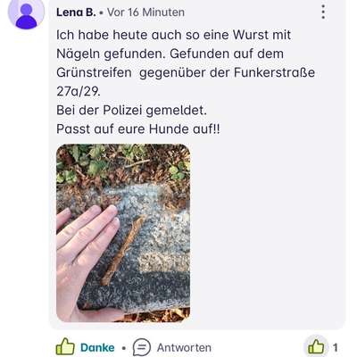 Giftköder-Wurst mit Nägeln-Bild