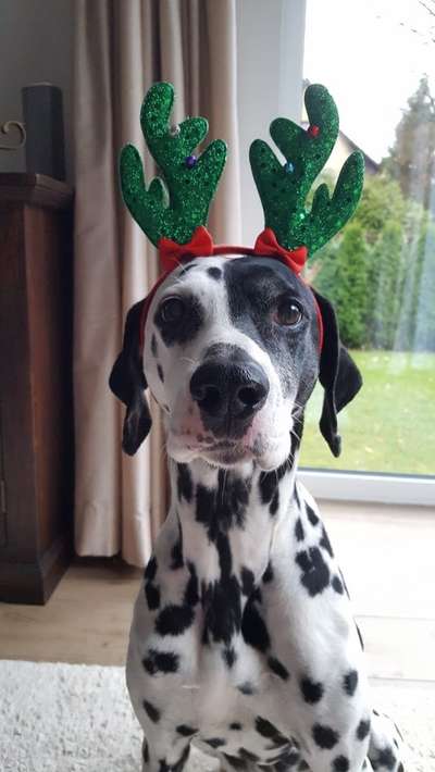 Foto-Challenge Nr. 90: Lebensfreude-Beitrag-Bild