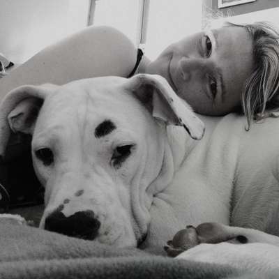 Hundetreffen-Hundebetreuung