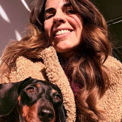 aktuelles Foto Gruppe Dackel