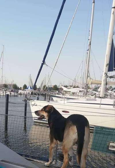 141. FOTO CHALLENGE 
Reisende soll man nicht aufhalten-Beitrag-Bild