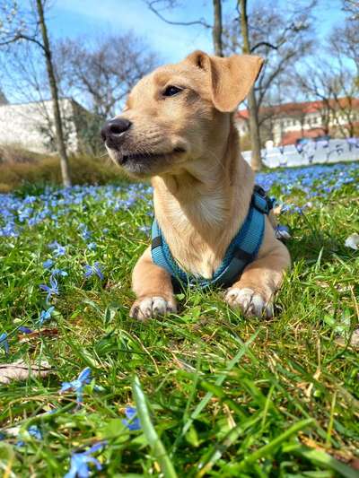 Fotowettbewerb Natur-Beitrag-Bild