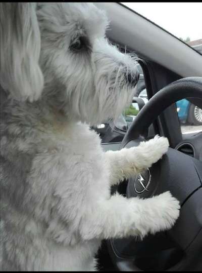 CHALLENGE NR. 18 - ON TOUR-Beitrag-Bild