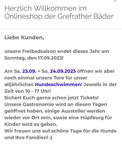 Wo sind die Golden Retriever Liebhaber?-Beitrag-Bild