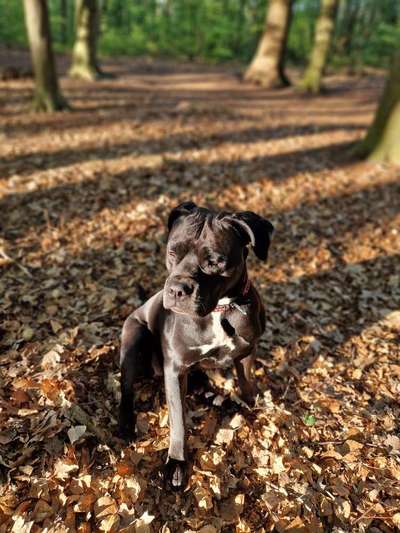 Fotowettbewerb Natur-Beitrag-Bild
