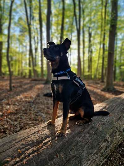 Fotowettbewerb Natur-Beitrag-Bild