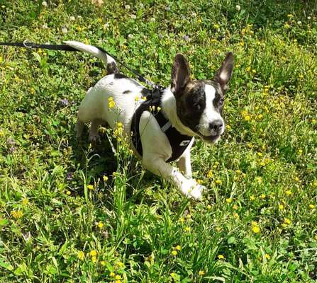 Foto-Challenge Nr. 90: Lebensfreude-Beitrag-Bild