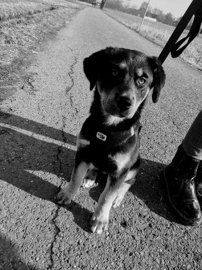 Foto-Challenge 76: Foto in Schwarz-Weiss-Beitrag-Bild