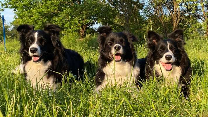 Freundschaftsanfragen-Beitrag-Bild