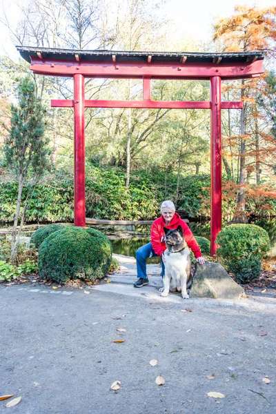 American Akita-Beitrag-Bild