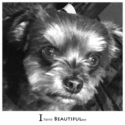 Zeigt mir die tollste Nahaufnahme von eurer Fellnase-Beitrag-Bild