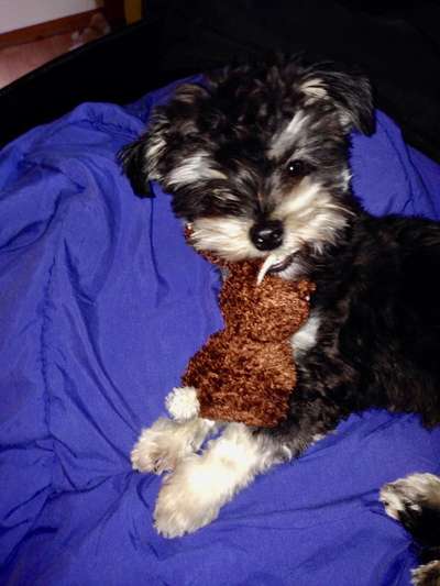 Fotochallenge Nr. 64-Beitrag-Bild