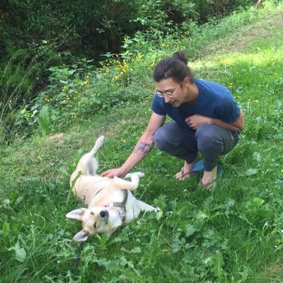 Hundetreffen-auf der Suche nach neuen Spazierwegen!-Bild