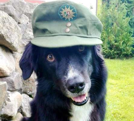 Dogorama Photo Challenge - Tre Chic!-Beitrag-Bild