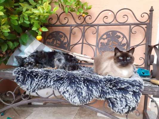 Foto Challenge 112 
ungewöhnliche Schlafplätze-Beitrag-Bild