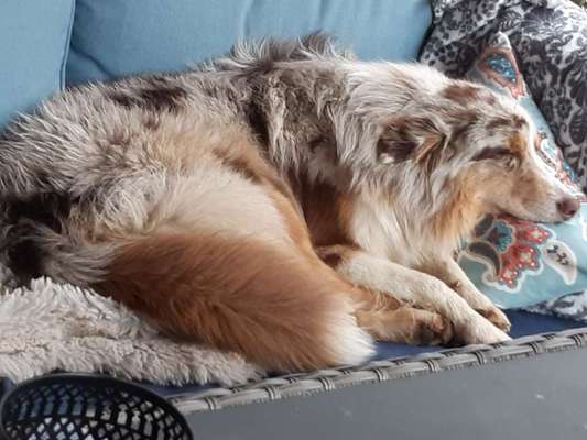 Foto Challenge 112 
ungewöhnliche Schlafplätze-Beitrag-Bild