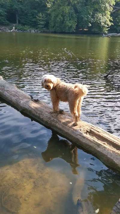 27. Handy Fotochallenge-Beitrag-Bild