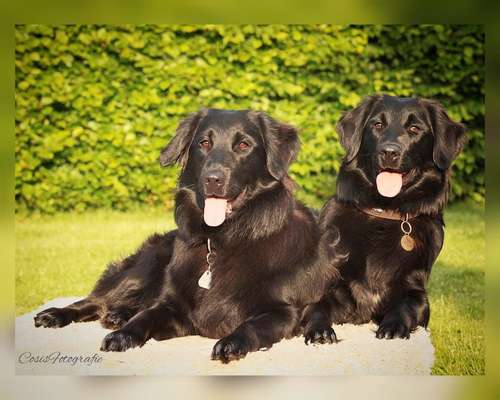 Der Gewichts-Thread-Beitrag-Bild