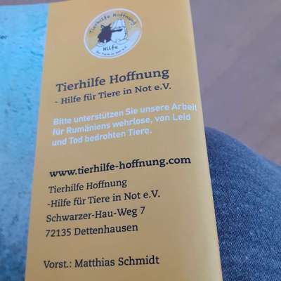 Tierschutzvereine-Beitrag-Bild