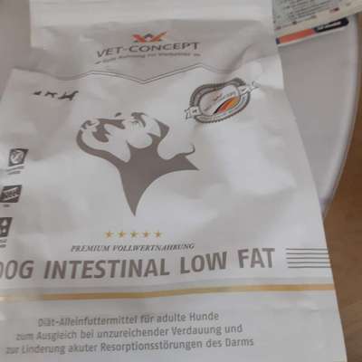 Benötige Futterempfehlung für futtersensiblen Ridgeback Senior-Beitrag-Bild