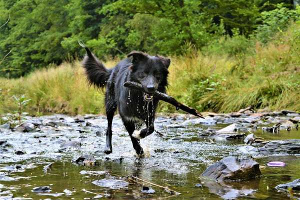 Fotowettbewerb zum Thema "Sonne"-Beitrag-Bild