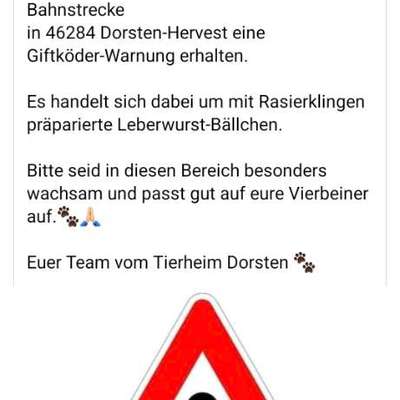 Giftköder-Giftköder - siehe Screenshot-Bild