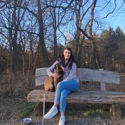 Hundetreffen-Gemeinsame Gassi/Spielrunde-Bild