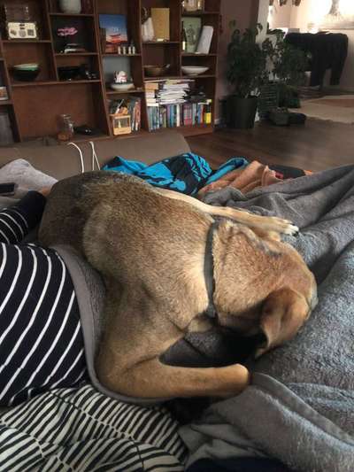 Die unbequemsten und lustigsten Schlafpositionen-Beitrag-Bild