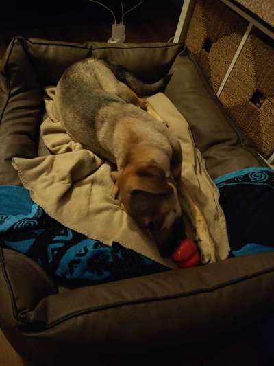 Erzählt eure Erfolgsstorys!-Beitrag-Bild