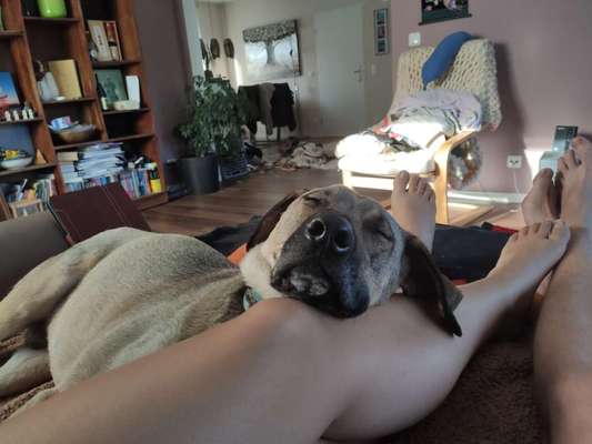 Verrückte Schlafpositionen-Beitrag-Bild