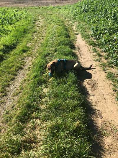 Erzählt eure Erfolgsstorys!-Beitrag-Bild