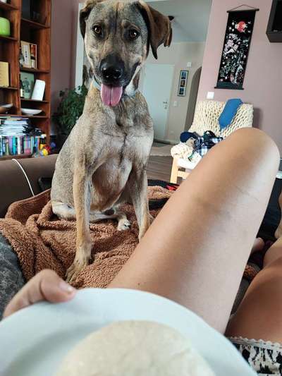 4 Rassen oder mehr :P-Beitrag-Bild