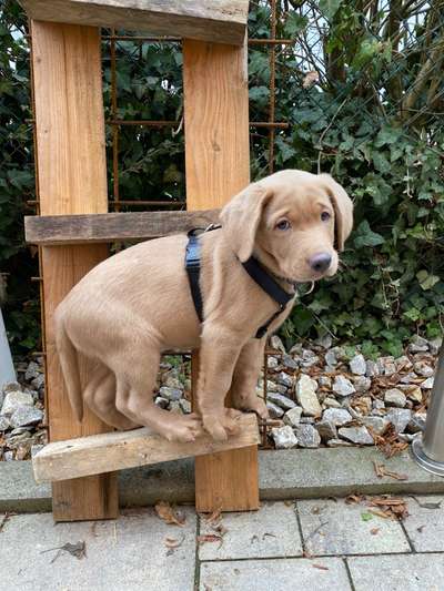 Fotochallenge Nr. 67: Euer Lieblingsbild-Beitrag-Bild