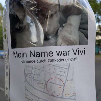 Giftköder-Hund an Giftköder gestorben :(-Bild