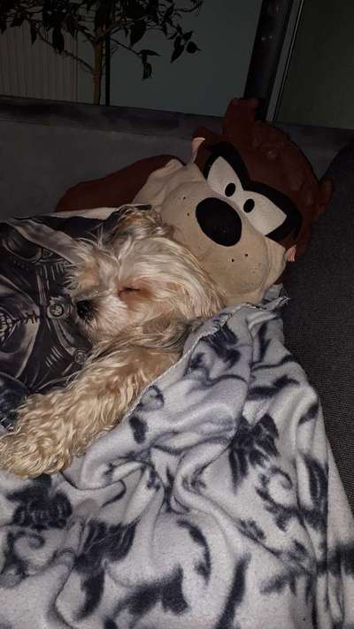 Die unbequemsten und lustigsten Schlafpositionen-Beitrag-Bild