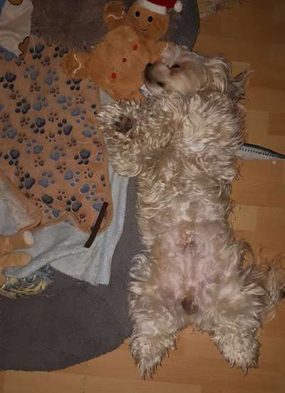 Die unbequemsten und lustigsten Schlafpositionen-Beitrag-Bild