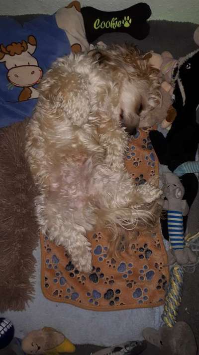 Die unbequemsten und lustigsten Schlafpositionen-Beitrag-Bild