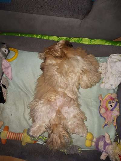 Die unbequemsten und lustigsten Schlafpositionen-Beitrag-Bild