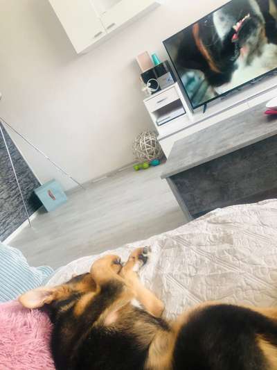 Challenge 21 - wo bin ich : )-Beitrag-Bild