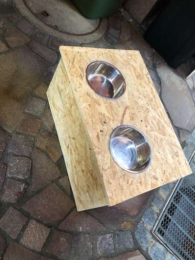 Bastelstunde für den Vierbeiner-Beitrag-Bild