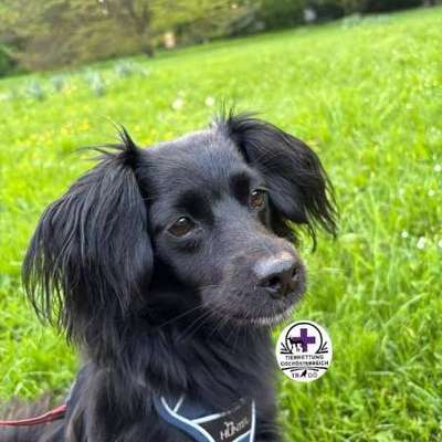 Suchmeldung-Sky-Bild