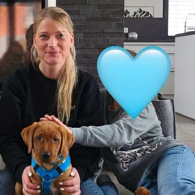 Hundetreffen-Spaziergang/ Treffen / Training-Profilbild